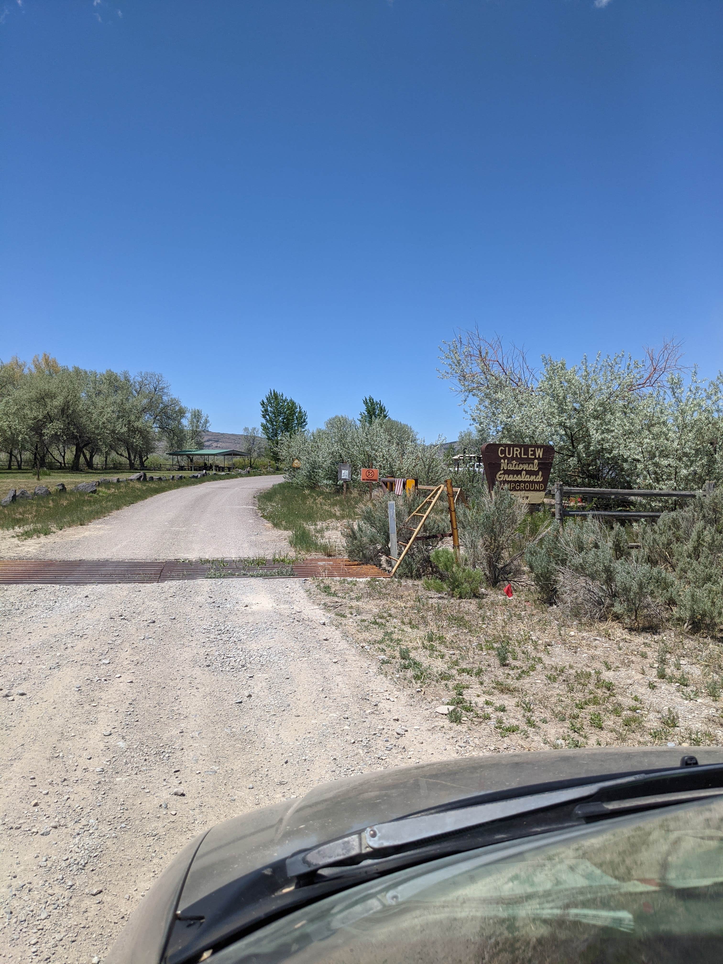 Camper submitted image from Lake Cascade/Curlew Campground - 5