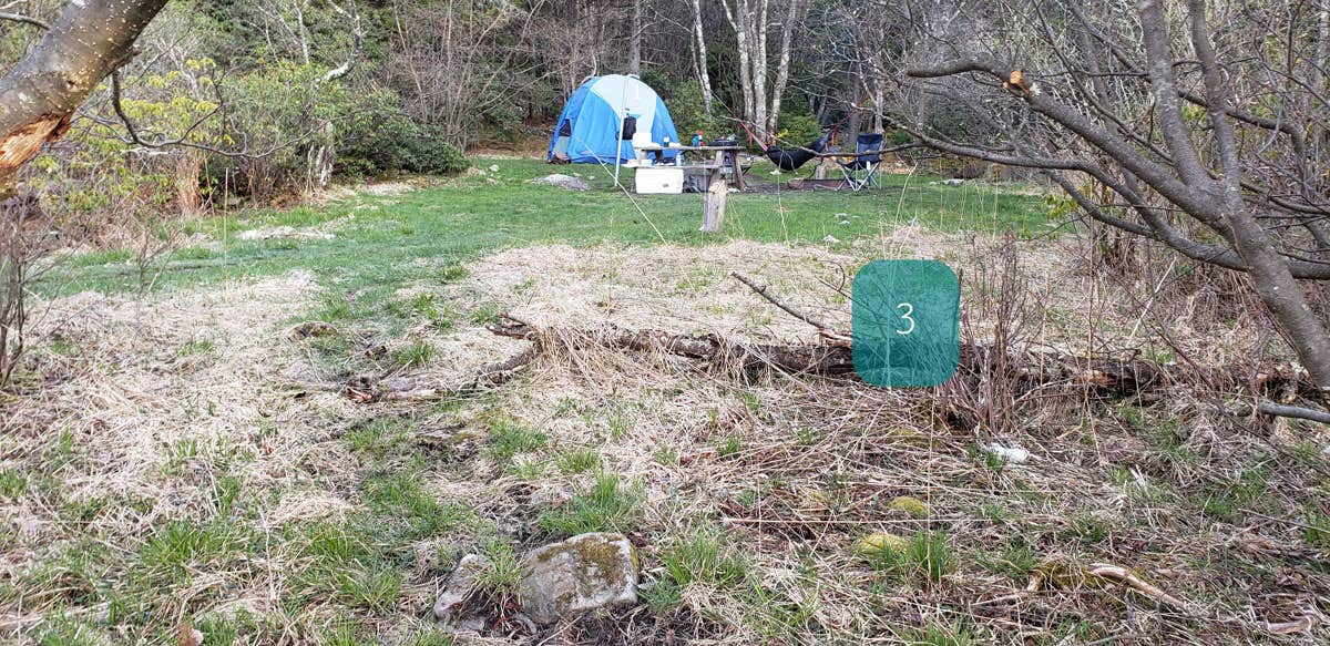 Jean C.'s photo at Red Creek Campground near Hambleton, WV