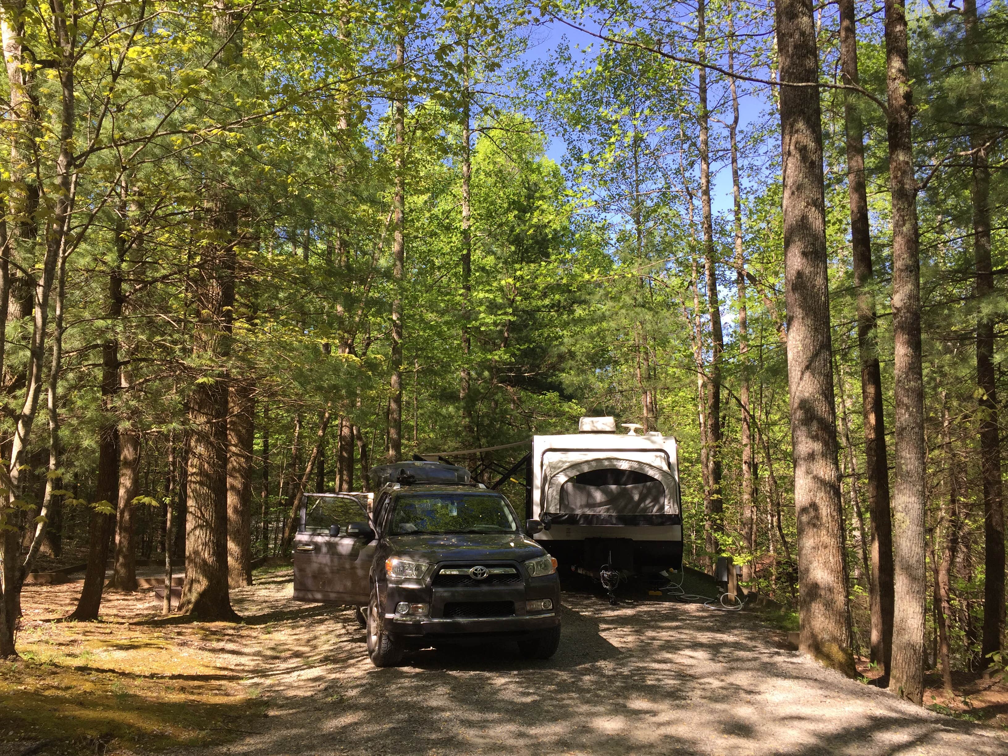 Camper submitted image from Black Forest Family Camping Resort - 4