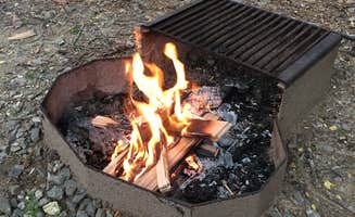 kristine F.'s photo at Black Forest Family Camping Resort near Taylors, SC