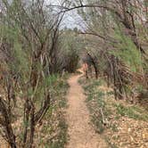 Review photo of Canyons of Escalante RV Park by Matthew D., May 30, 2021