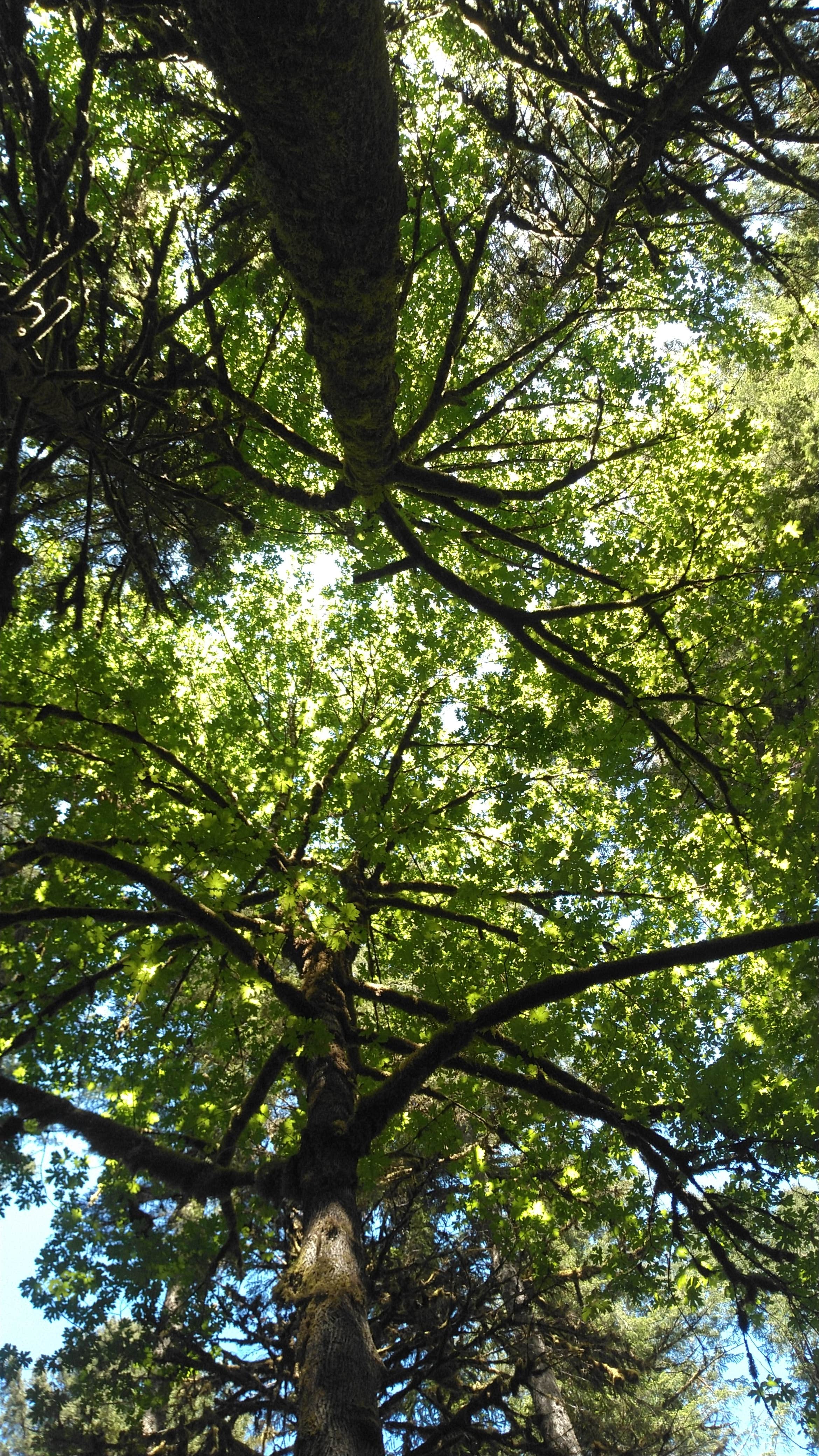 Escape to Oregon House Rock: Your Unforgettable Campground Adventure