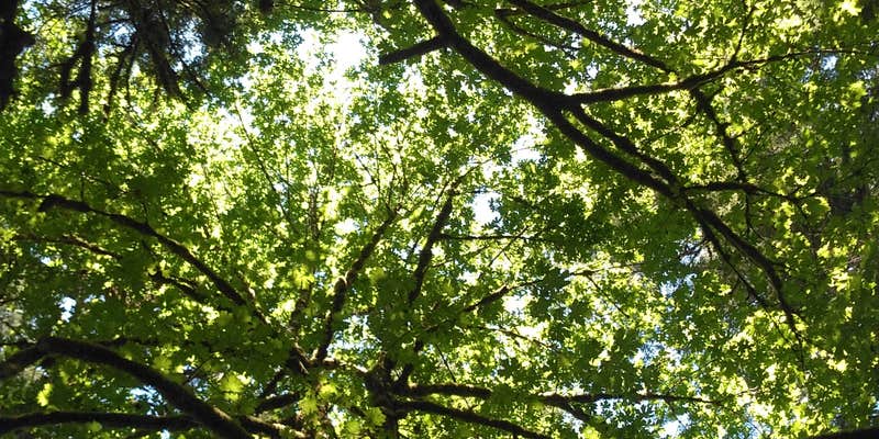 Camper submitted image from Yukwah Campground