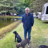 Review photo of Pine Hollow Campground by Andrzej K., May 30, 2021