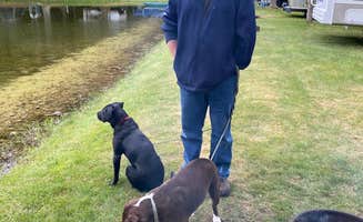 Andrzej K.'s photo of camping with pets at Pine Hollow Campground in Vermont
