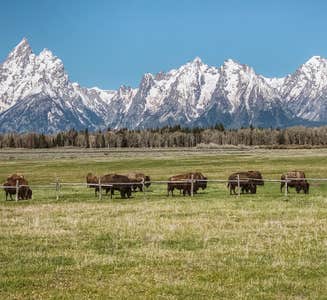 Camper-submitted photo from Colter Bay RV Park at Colter Bay Village — Grand Teton National Park