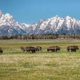 Review photo of Fireside Resort at Jackson Hole by Matthew D., May 30, 2021
