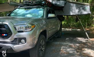 Matthew D.'s photo at Alexander Springs Recreation Area near Umatilla, FL