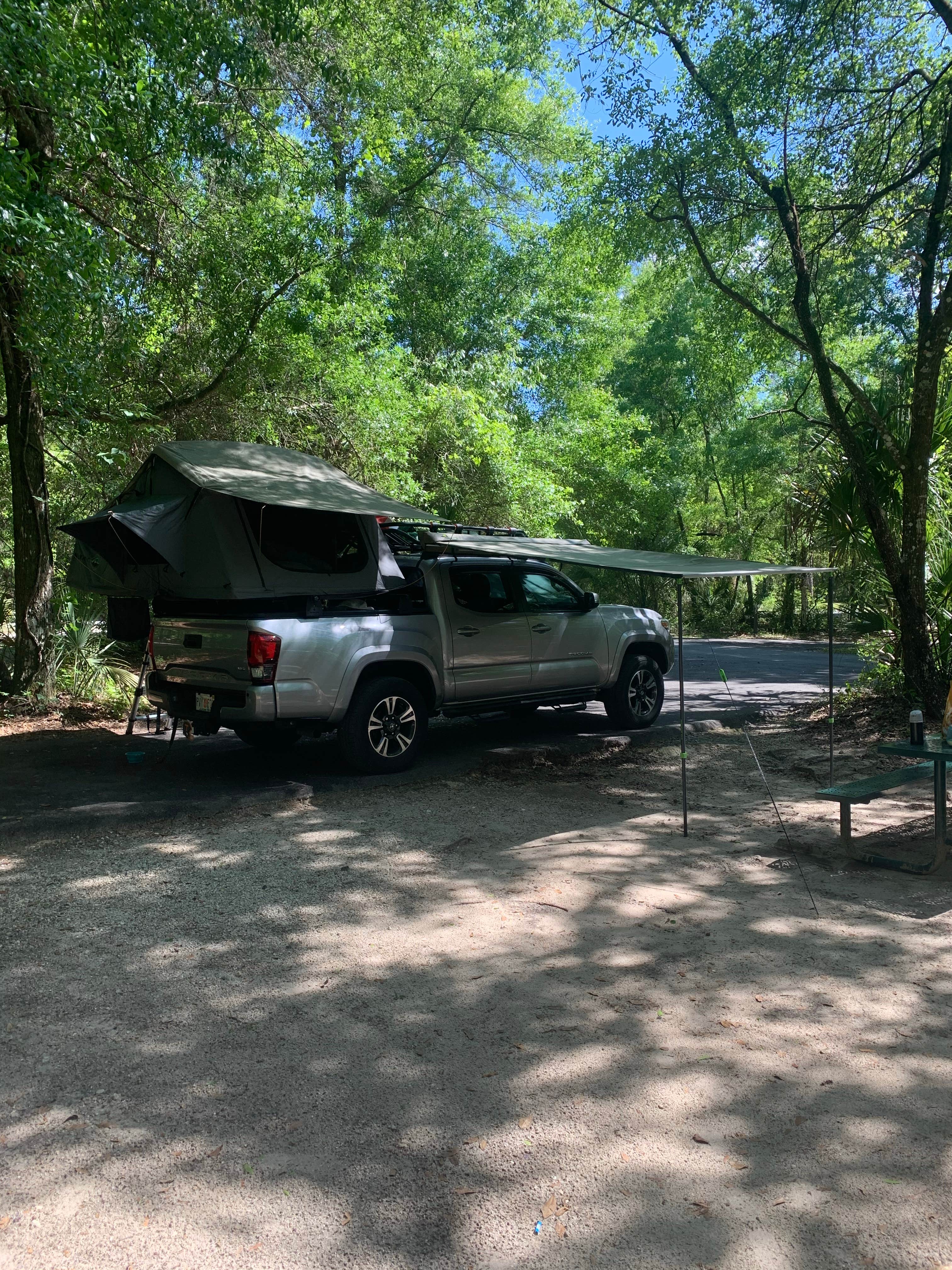 Matthew D.'s photo at Alexander Springs Recreation Area near Pierson, FL