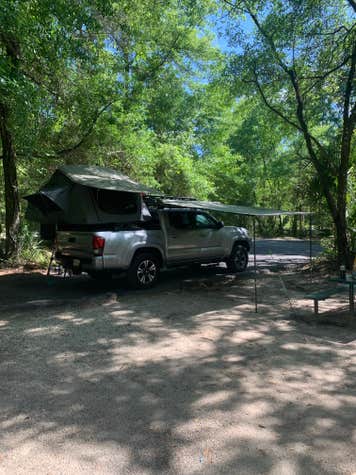 Alexander Springs Rec Area The Dyrt