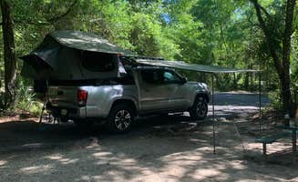 Matthew D.'s photo at Alexander Springs Recreation Area near Paisley, FL