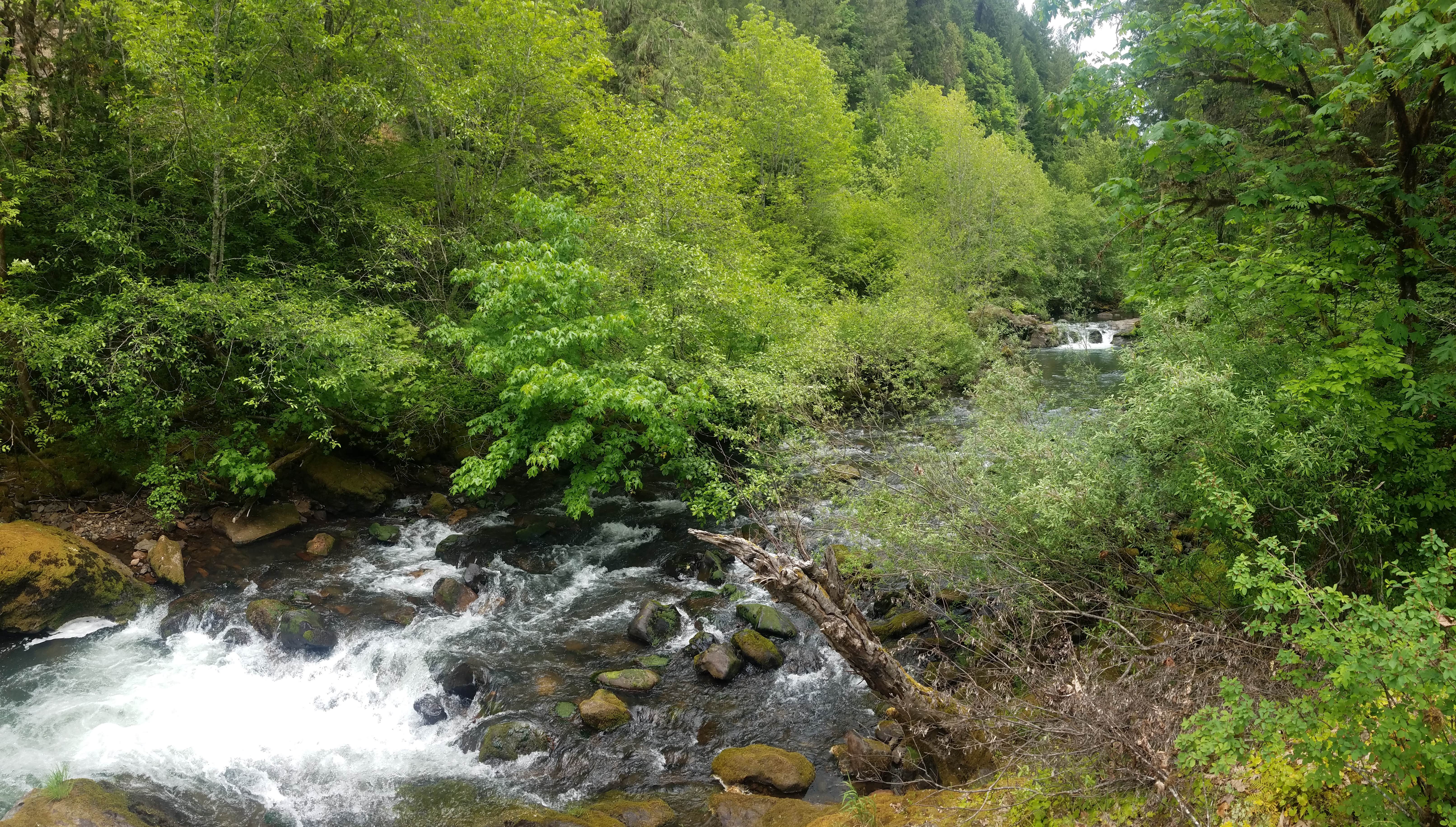 Camper submitted image from Rujada Campground - 5