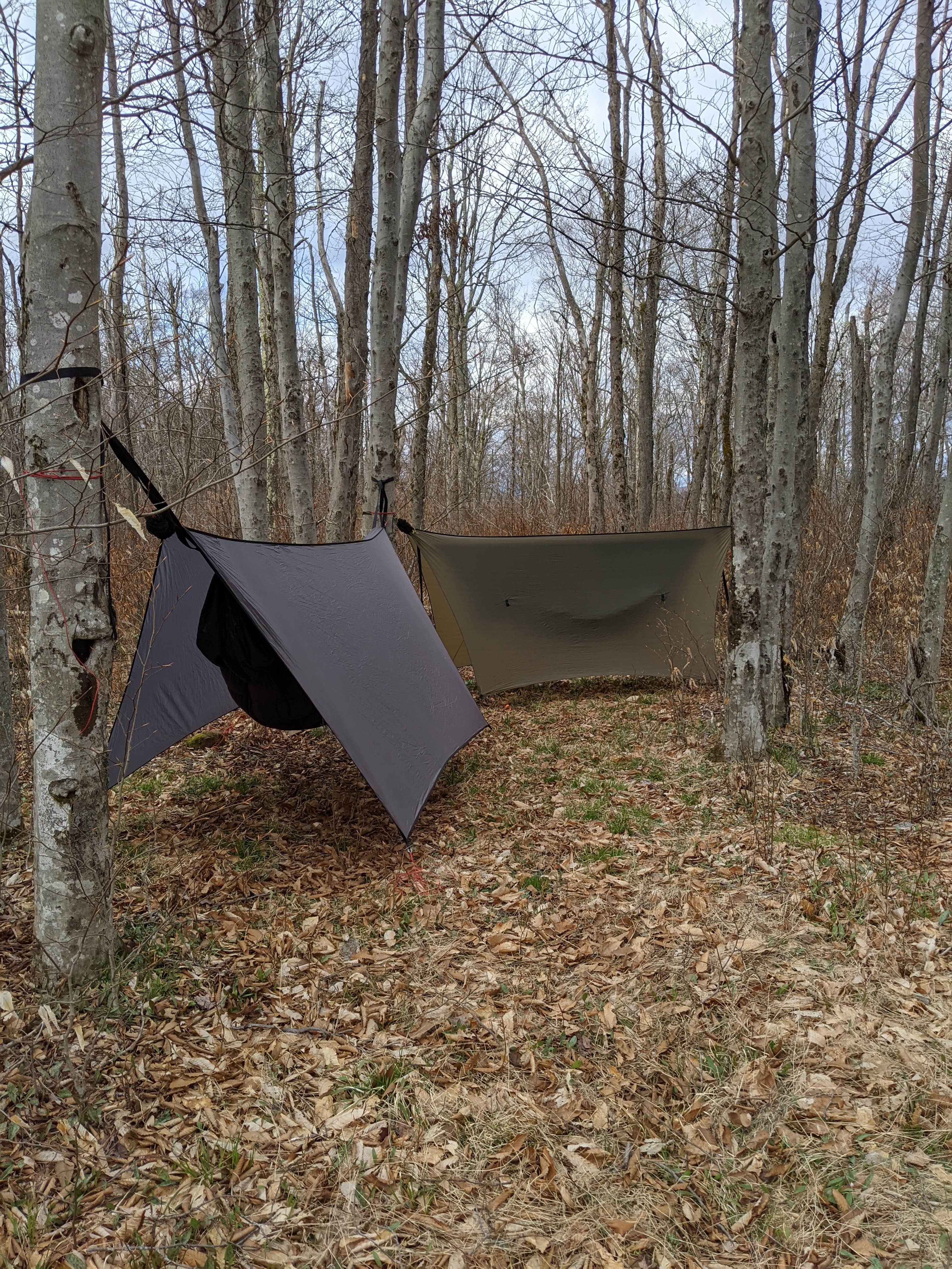 Justin S.'s photo at Gatewood Group near Glady, WV