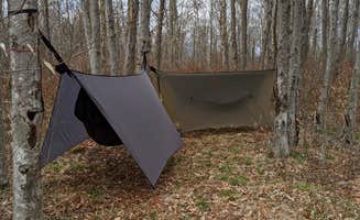 Justin S.'s photo of tent camping at Gatewood Group near Dryfork, WV