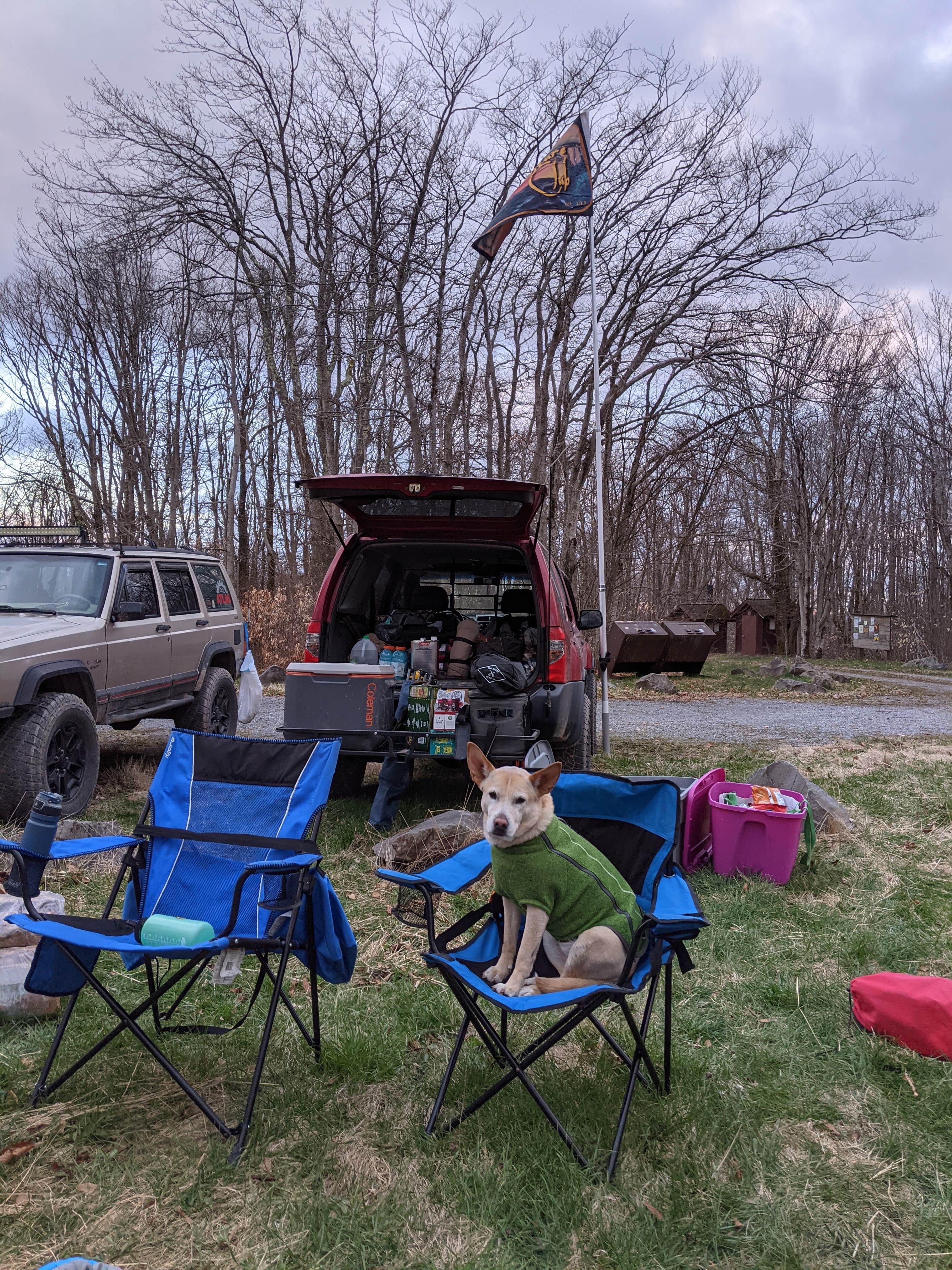Camper-submitted photo at Gatewood Group near Belington, WV