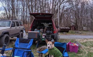 Justin S.'s photo at Gatewood Group near Glady, WV