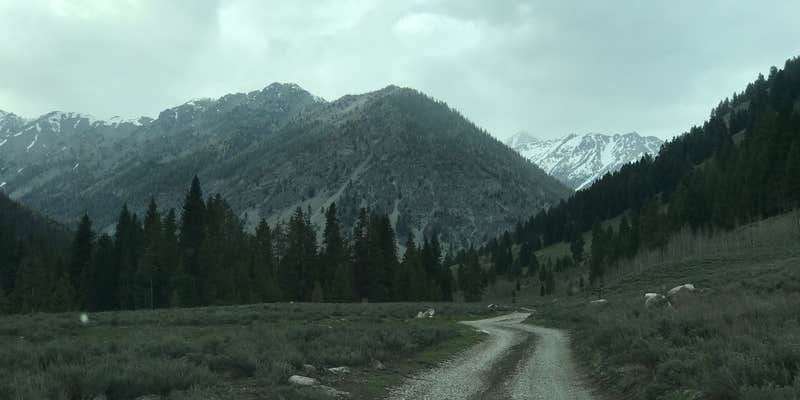 Camper submitted image from Cougar Dispersed Camping Area