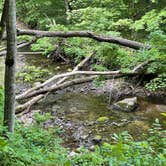 Review photo of Fort Defiance State Park Campground by Tim , May 30, 2021