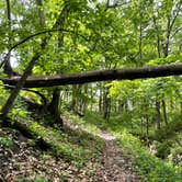 Review photo of Fort Defiance State Park Campground by Tim , May 30, 2021