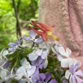 Review photo of Fort Defiance State Park Campground by Tim , May 30, 2021