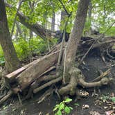 Review photo of Fort Defiance State Park Campground by Tim , May 30, 2021