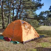 Review photo of South Beach State Park Campground by Lady L., May 31, 2021