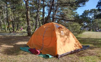 Lady L.'s photo at South Beach State Park Campground near Depoe Bay, OR