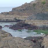 Review photo of South Beach State Park Campground by Lady L., May 31, 2021