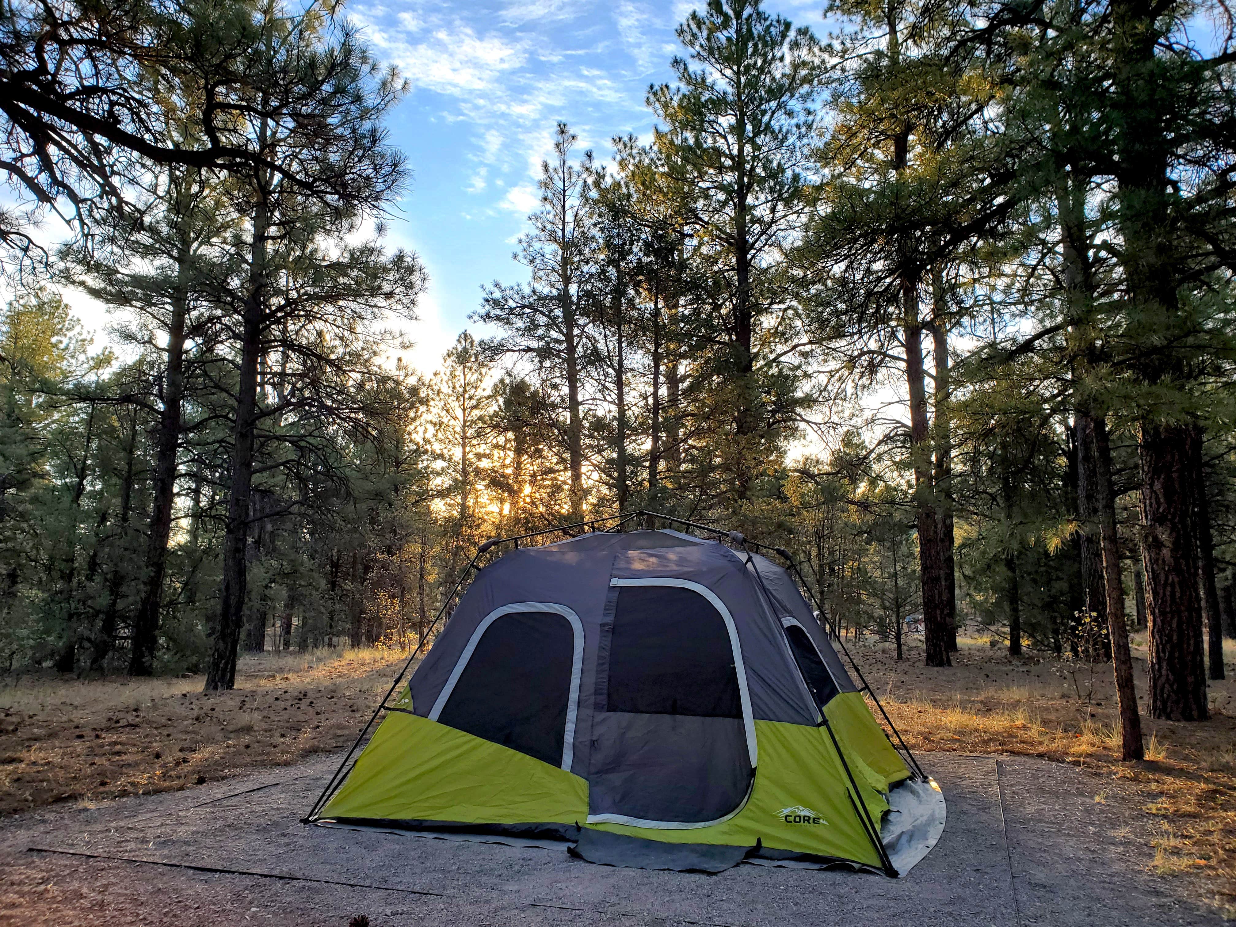 Chip's photo at Quaking Aspen Campground near Gamerco, NM