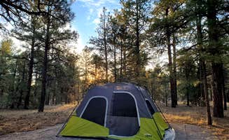 Chip's photo at Quaking Aspen Campground near El Morro National Monument