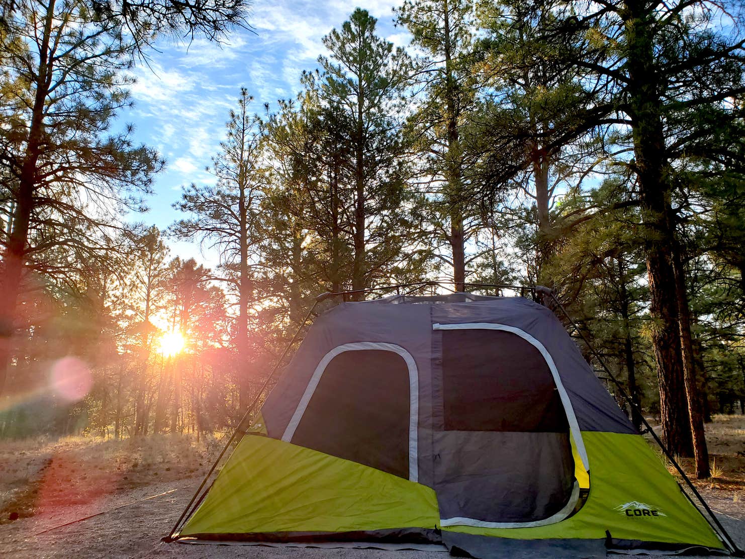 Cibola/Quaking Aspen Campground The Dyrt