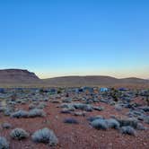 Review photo of Red Rock Canyon National Conservation Area - Red Rock Campground by Chip , May 31, 2021