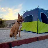 Review photo of Red Rock Canyon National Conservation Area - Red Rock Campground by Chip , May 31, 2021