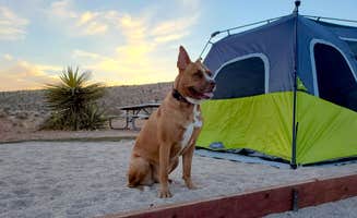 Chip's photo at Red Rock Canyon Campground near Sloan, NV