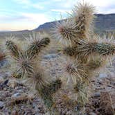 Review photo of Red Rock Canyon National Conservation Area - Red Rock Campground by Chip , May 31, 2021