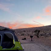 Review photo of Red Rock Canyon National Conservation Area - Red Rock Campground by Chip , May 31, 2021