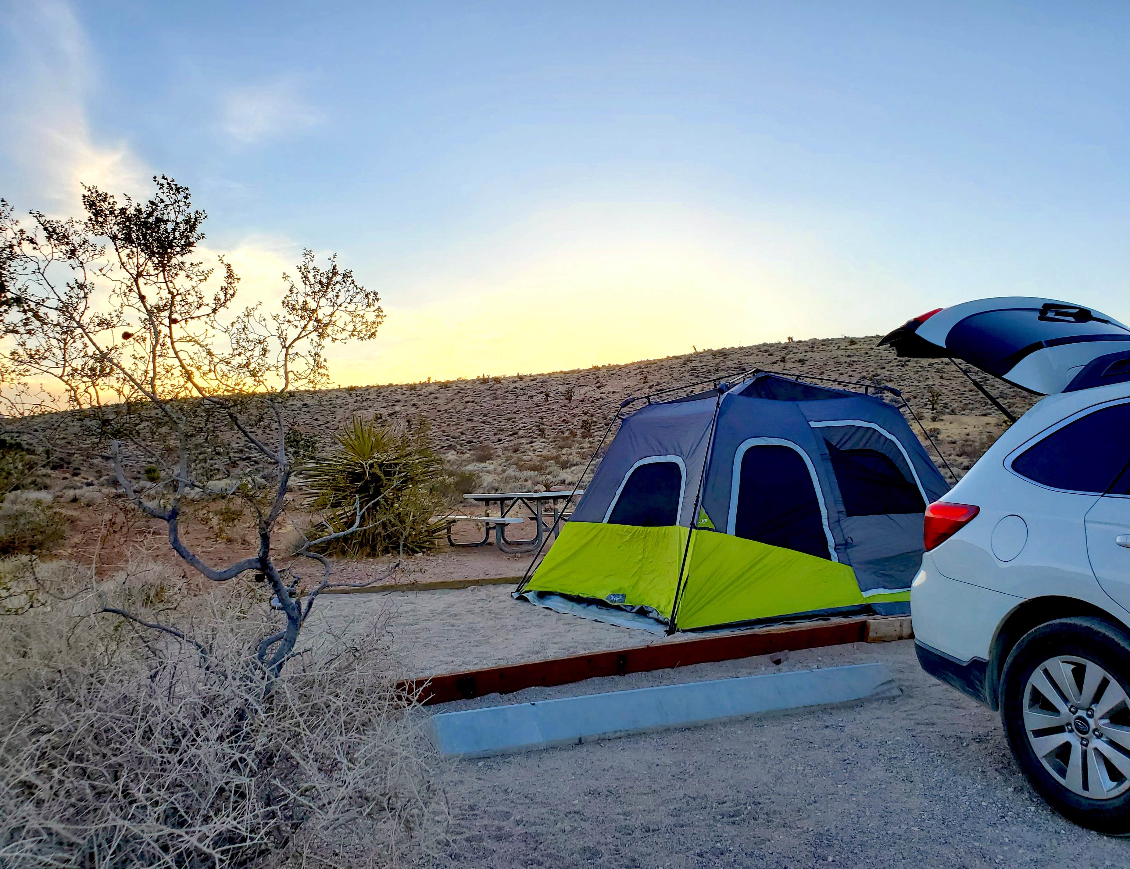 Chip's photo at Red Rock Canyon National Conservation Area - Red Rock Campground near Las Vegas, NV