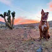 Review photo of Red Rock Canyon National Conservation Area - Red Rock Campground by Chip , May 31, 2021