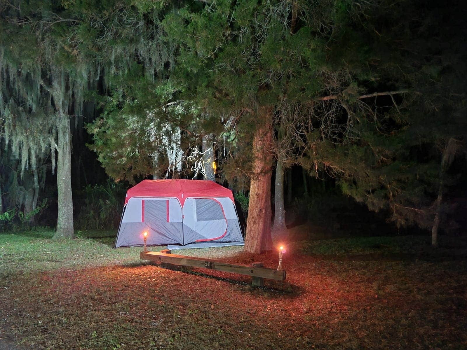 Mina  G.'s photo at Tillis Hill Equestrian Campground — Withlacoochee State Forest near Homosassa, FL