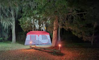 Mina  G.'s photo at Tillis Hill Equestrian Campground — Withlacoochee State Forest near Spring Hill, FL