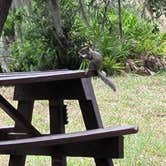 Review photo of Tillis Hill  Recreation Area - Withlacoochee State Forest by Mina  G., May 31, 2021