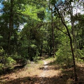 Review photo of Tillis Hill  Recreation Area - Withlacoochee State Forest by Mina  G., May 31, 2021