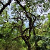 Review photo of Tillis Hill  Recreation Area - Withlacoochee State Forest by Mina  G., May 31, 2021