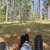 Review photo of Tillis Hill  Recreation Area - Withlacoochee State Forest by Mina  G., May 31, 2021