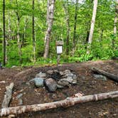 Review photo of Camel's Hump State Park — Camels Hump State Park by Raj T., May 30, 2021