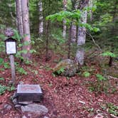 Review photo of Camel's Hump State Park — Camels Hump State Park by Raj T., May 30, 2021