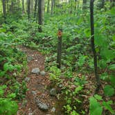 Review photo of Camel's Hump State Park — Camels Hump State Park by Raj T., May 30, 2021