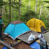 Review photo of Camel's Hump State Park — Camels Hump State Park by Raj T., May 30, 2021