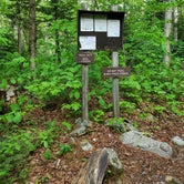 Review photo of Camel's Hump State Park — Camels Hump State Park by Raj T., May 30, 2021