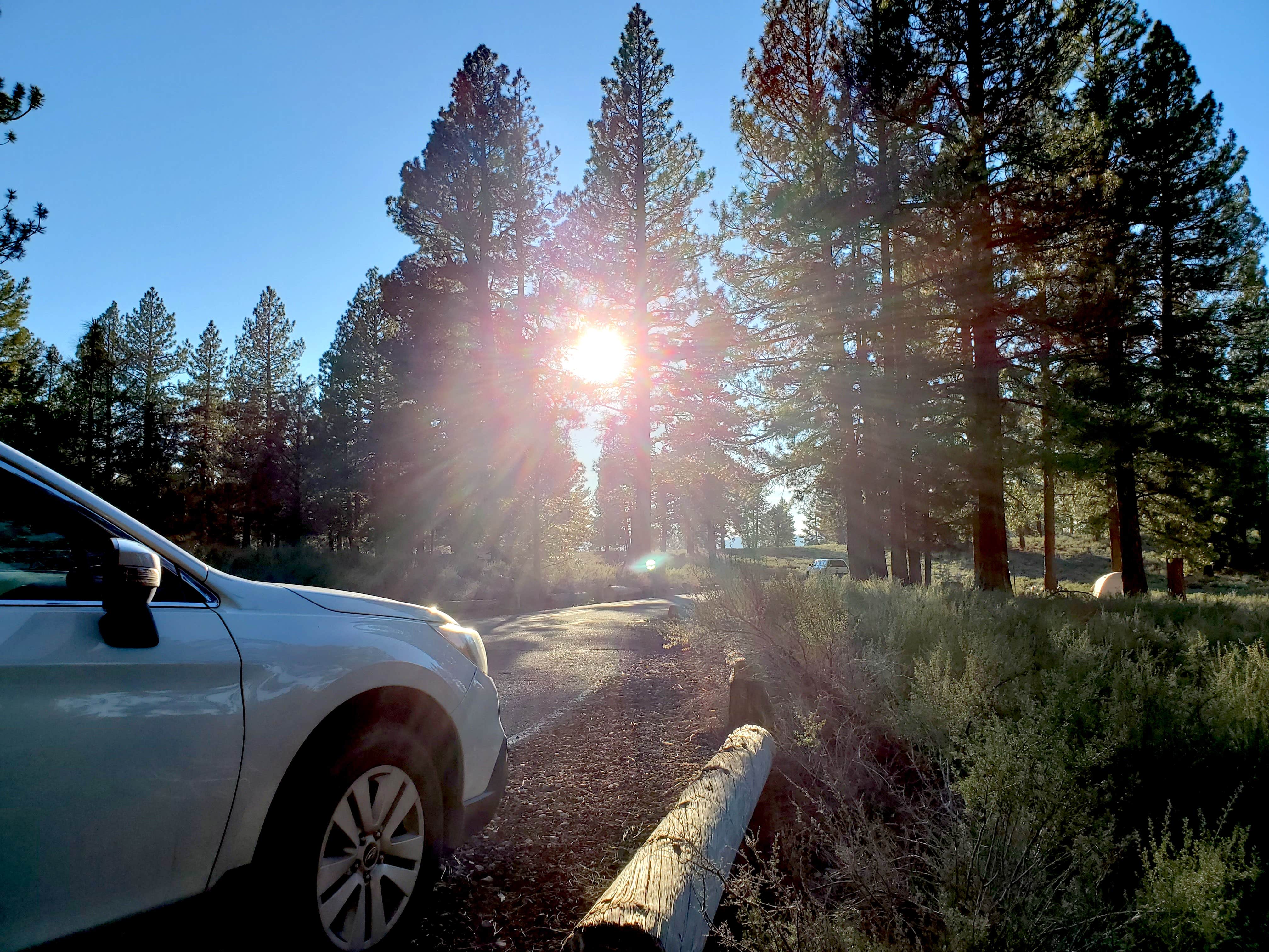 Camper-submitted photo at Alpine Meadow Campground near Truckee, CA